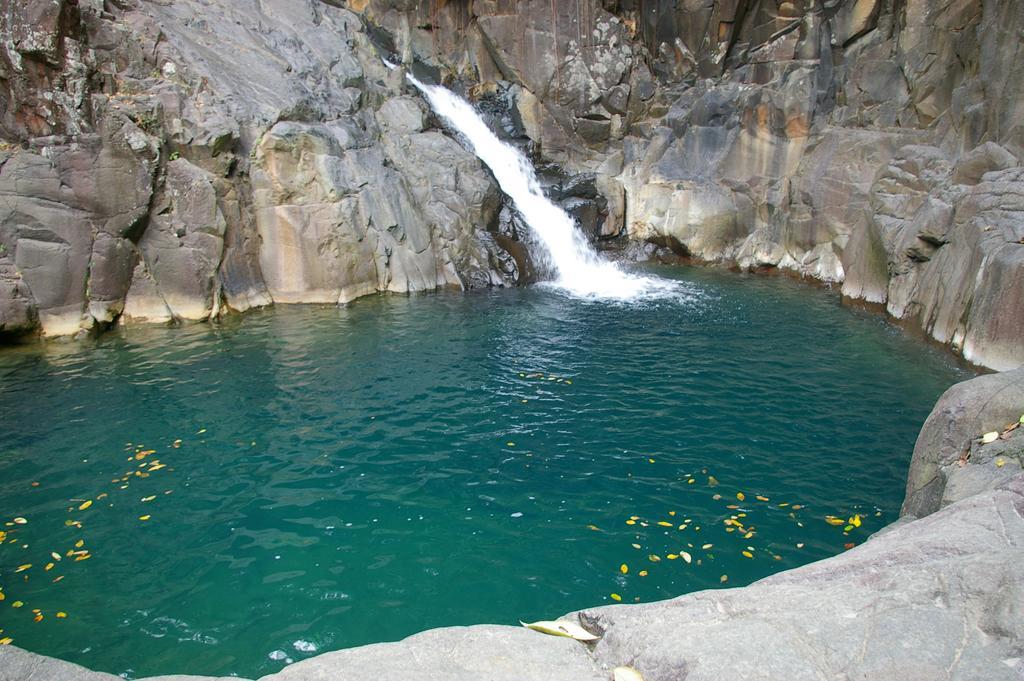 Kaz Creole Aventure Tropicale Insolite, Fibre, Jardin Et Jacuzzi Prives 생프랑수아 외부 사진