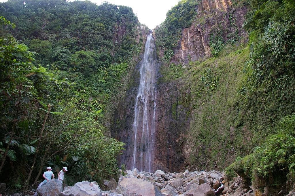 Kaz Creole Aventure Tropicale Insolite, Fibre, Jardin Et Jacuzzi Prives 생프랑수아 외부 사진