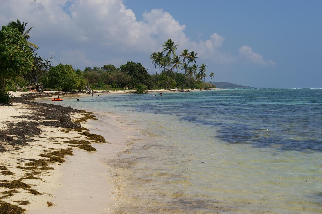 Kaz Creole Aventure Tropicale Insolite, Fibre, Jardin Et Jacuzzi Prives 생프랑수아 외부 사진