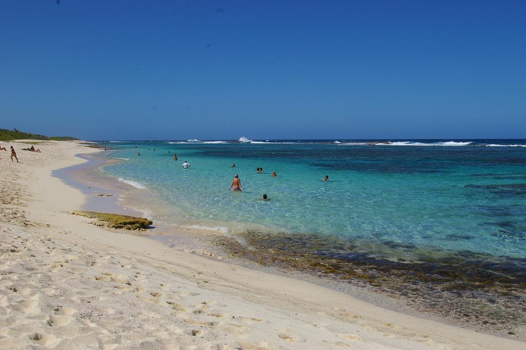 Kaz Creole Aventure Tropicale Insolite, Fibre, Jardin Et Jacuzzi Prives 생프랑수아 외부 사진